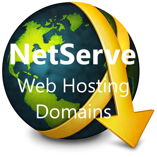 NetServeOnSIte Logo